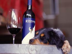 Koonara Wines - Accommodation Gladstone 0