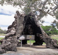 The Herbig Family Tree - Accommodation Gladstone