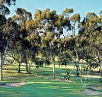Tanunda Pines Golf Club - Accommodation Gladstone