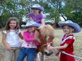 Amberainbow Pony Rides - Accommodation Gladstone 0