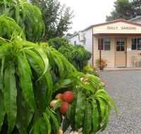 Gully Gardens - Accommodation Gladstone