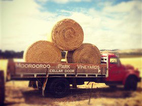 Moorooroo Park Vineyards - Accommodation Gladstone 0