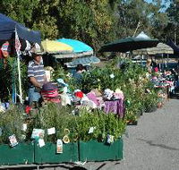 Meadows Monthly Market - Accommodation Gladstone