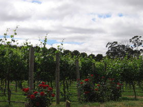  Accommodation Gladstone