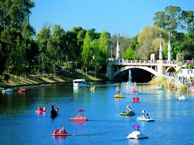 Captain Jolleys Paddle Boats - Accommodation Gladstone 0