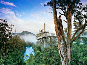  Accommodation Gladstone
