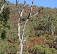 Black Hill Conservation Park - Accommodation Gladstone