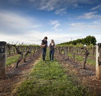 Coonawarra Wineries Walking Trail - Accommodation Gladstone