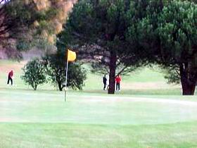 Meningie Lake Albert Golf Club - Accommodation Gladstone 0