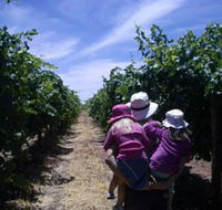 McLaren Vale Orchards - Accommodation Gladstone
