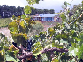 Willunga South SA Accommodation Gladstone