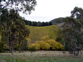Mt Bera Vineyards - Accommodation Gladstone 0