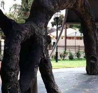 Old Gum Tree - Accommodation Gladstone
