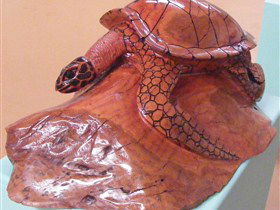 Ants Redgum Gallery - Accommodation Gladstone 0