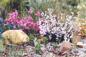 Stokes Bay Bush Garden - Accommodation Gladstone 0