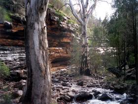 Mambray Creek SA Accommodation Gladstone