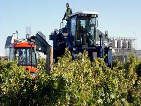 Ballast Stone Estate Wines Pty Ltd - Accommodation Gladstone 0