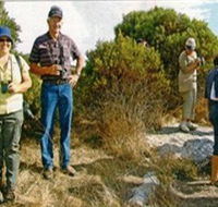 Coobowie Bird Hide - Accommodation Gladstone