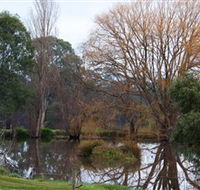 Gemtree Wetlands Ecotrail - Accommodation Gladstone