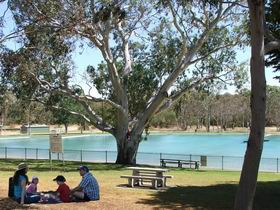 Naracoorte Nature Park And Swimming Lake - Accommodation Gladstone 0