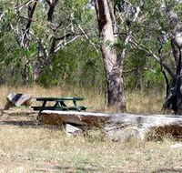 Penola Conservation Park - Accommodation Gladstone