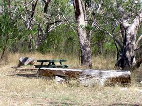 Penola Conservation Park - Accommodation Gladstone 0