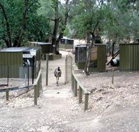 Humbug Scrub Wildlife Sanctuary - Accommodation Gladstone