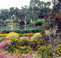 Wittunga Botanic Garden - Accommodation Gladstone