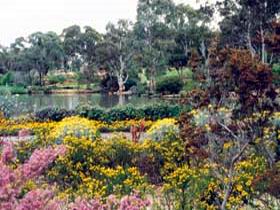 Wittunga Botanic Garden - Accommodation Gladstone 0