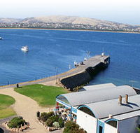 Granite Island Nature Park - Guided Penguin Tours - Accommodation Gladstone