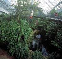 Bicentennial Conservatory - Accommodation Gladstone