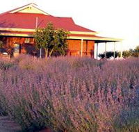 Bella Lavender Estate - Accommodation Gladstone