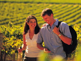 Lady Bay Vineyard - Accommodation Gladstone 0