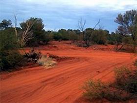 Tallaringa Conservation Park - Accommodation Gladstone 0