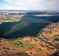 Mount Crawford Forest Reserve - Accommodation Gladstone