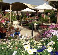 Serenity Nursery - Accommodation Gladstone