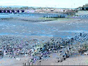 Jervois Basin Ships' Graveyard - Accommodation Gladstone 0