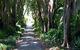 Adelaide Botanic Garden - thumb 0