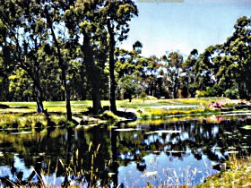 Alcomie TAS Accommodation Gladstone