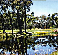 Smithton Country Club - Accommodation Gladstone