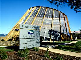 Forest EcoCentre - Accommodation Gladstone 0