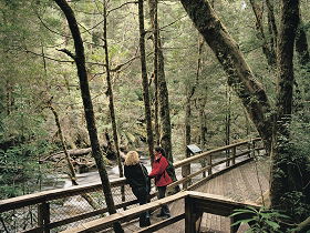 Franklin River Nature Trail - Accommodation Gladstone 0