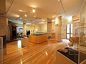 Tasmanian Tiger Exhibition - Accommodation Gladstone 0