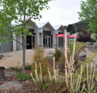 Tin Dragon Interpretation Centre and Cafe - Accommodation Gladstone