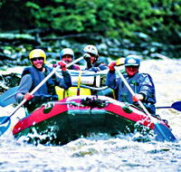 Franklin - Gordon Wild Rivers National Park - Accommodation Gladstone