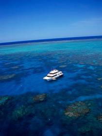Norman Reef Dive Site - Accommodation Gladstone 0