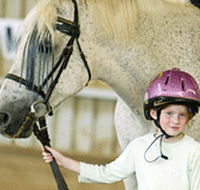 Gooromon Park Riding Centre  - Accommodation Gladstone