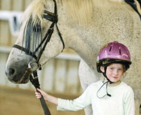 Gooromon Park Riding Centre  - Accommodation Gladstone 0