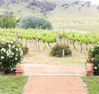 Brindabella Hills Winery - Accommodation Gladstone