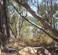 Black Mountain - Accommodation Gladstone